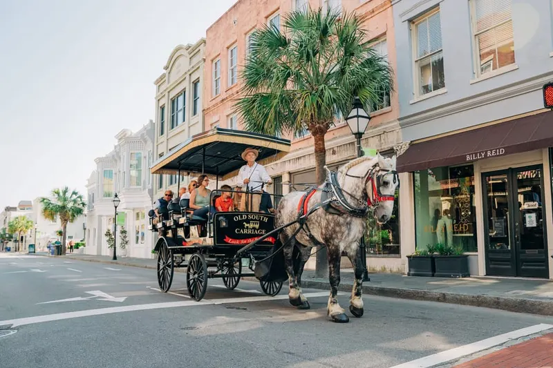 Historical Downtown Tour by Horse-drawn Carriage