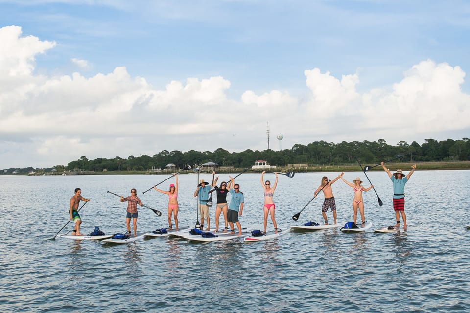 Charleston: Folly Beach Stand Up Paddleboard Dolphin Safari