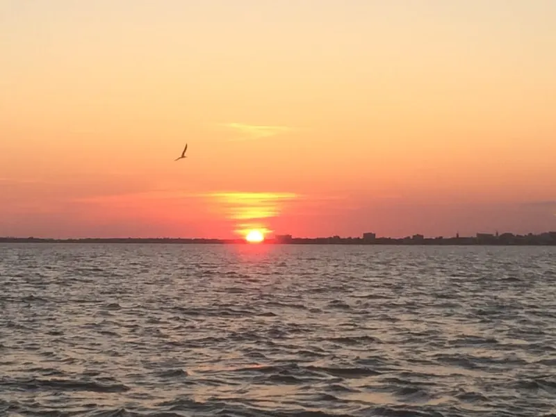 Charleston: Sunset Harbor Cruise