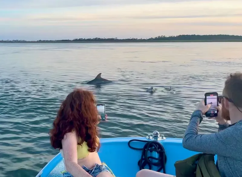 Charleston: Morris Island Dolphin Cruise with Beachcombing